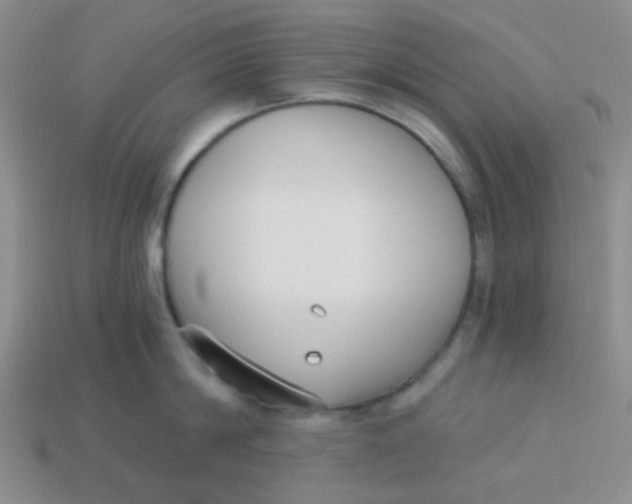 X0000113900814200910151354