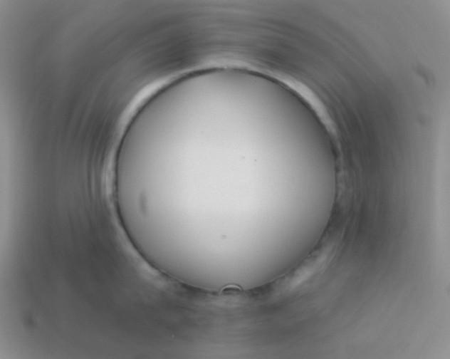 X0000113900815200910151354