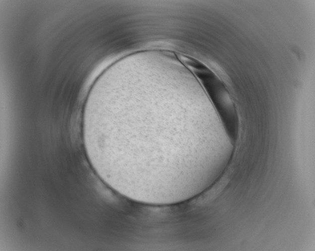 X0000113900816200910151354