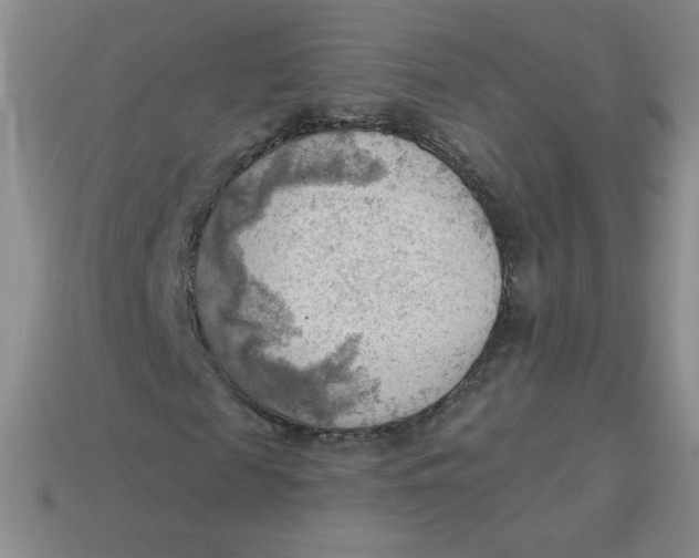 X0000113900817200910151354