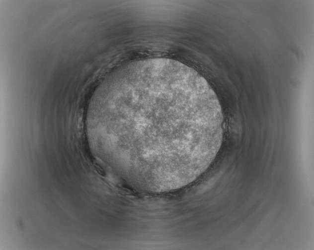 X0000113900818200910151354