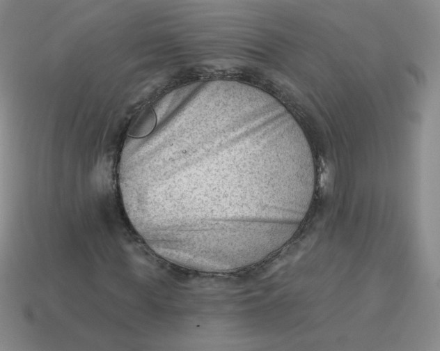 X0000113900819200910151354