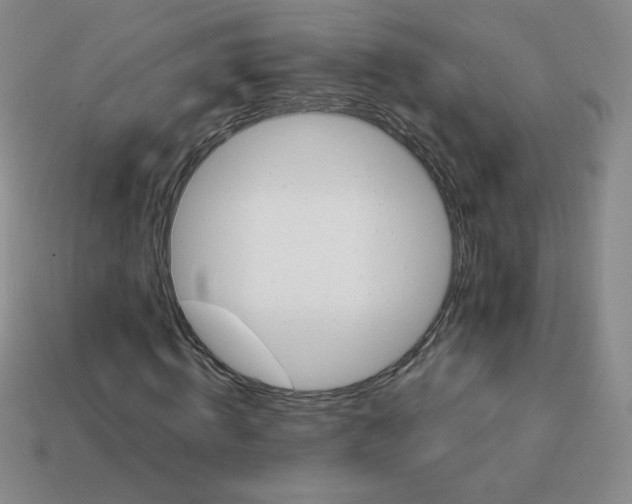 X0000113900820200910151354