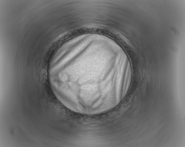 X0000113900821200910151354