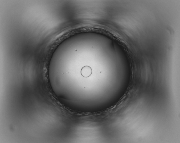 X0000113900822200910151354