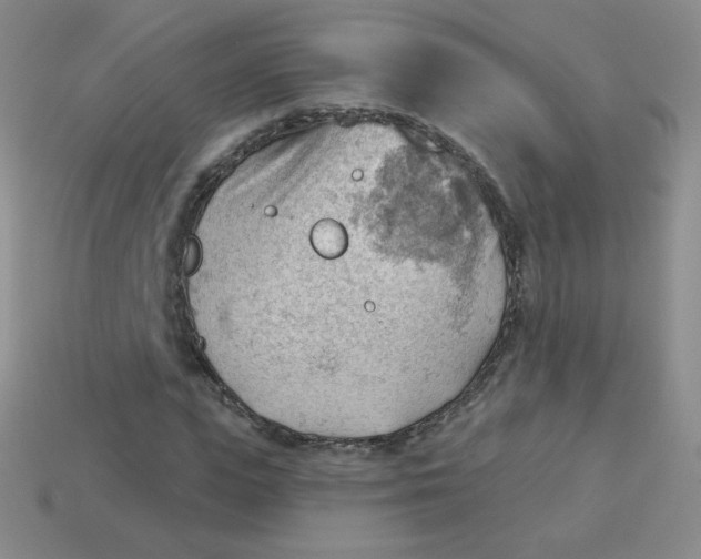 X0000113900823200910151354