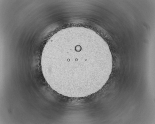 X0000113900824200910151354