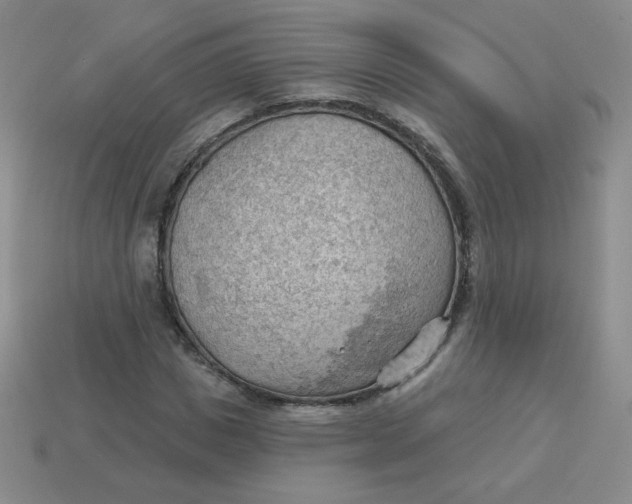 X0000113900825200910151354