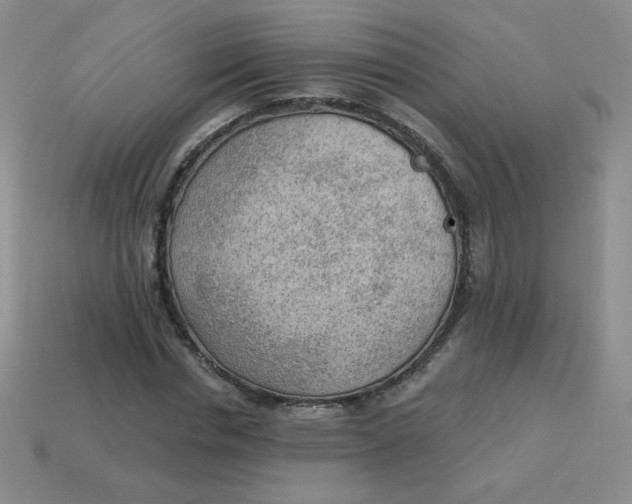 X0000113900826200910151354