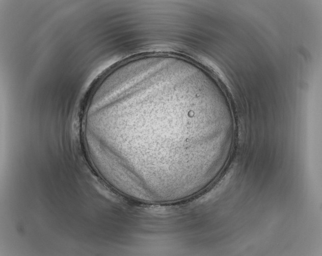 X0000113900827200910151354