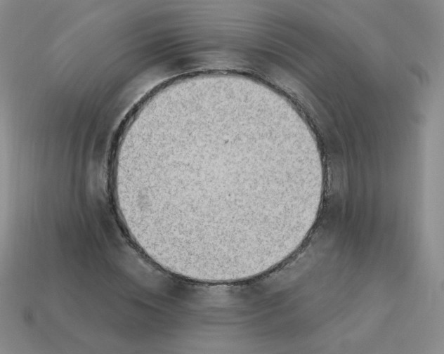 X0000113900828200910151354