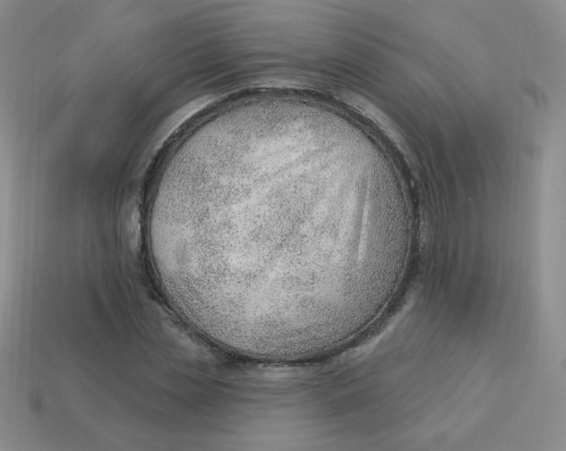 X0000113900829200910151354