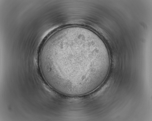 X0000113900830200910151354