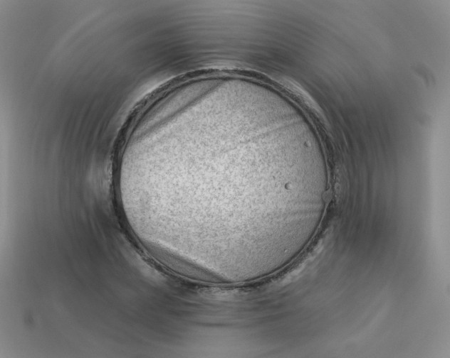 X0000113900831200910151354