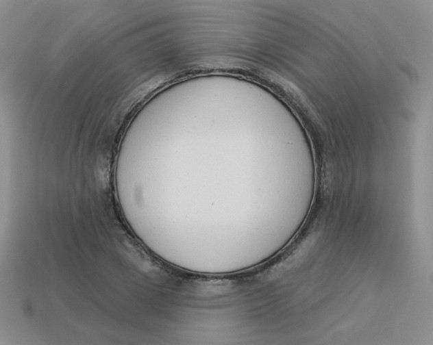 X0000113900833200910151354