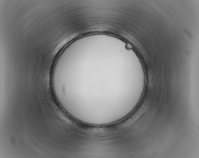 X0000113900834200910151354