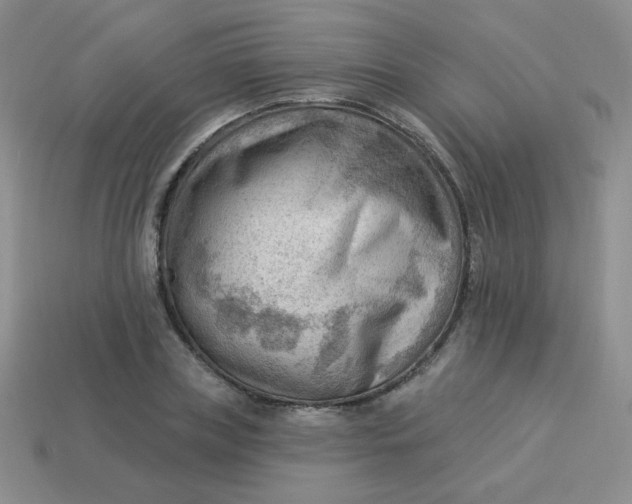 X0000113900835200910151354