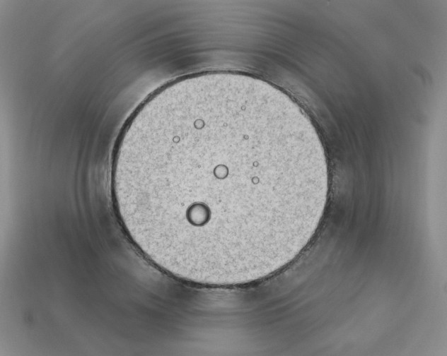 X0000113900836200910151354