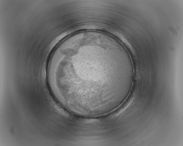 X0000113900837200910151354