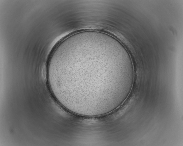 X0000113900838200910151354