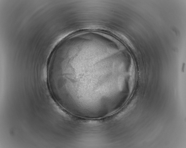 X0000113900839200910151354