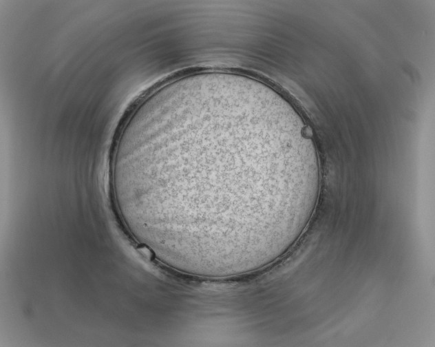 X0000113900840200910151354