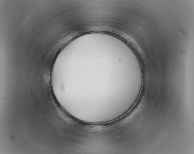 X0000113900841200910151354