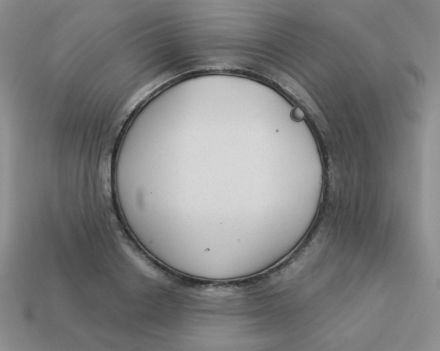 X0000113900842200910151354