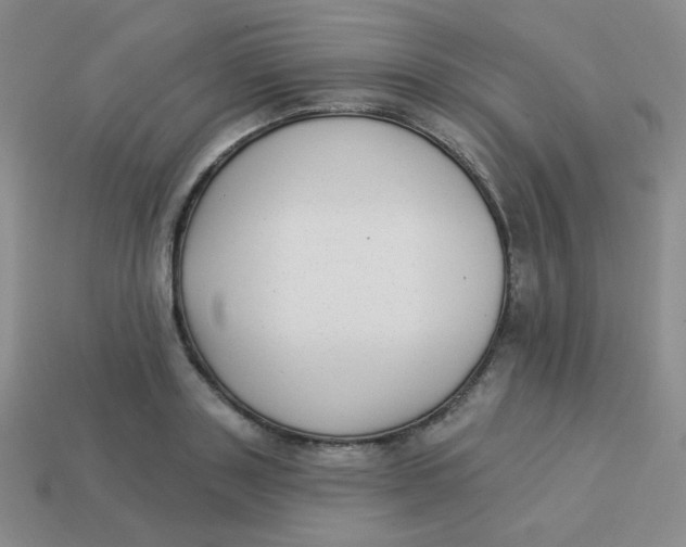 X0000113900843200910151354