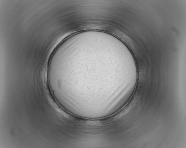 X0000113900844200910151354