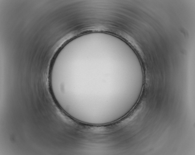 X0000113900845200910151354