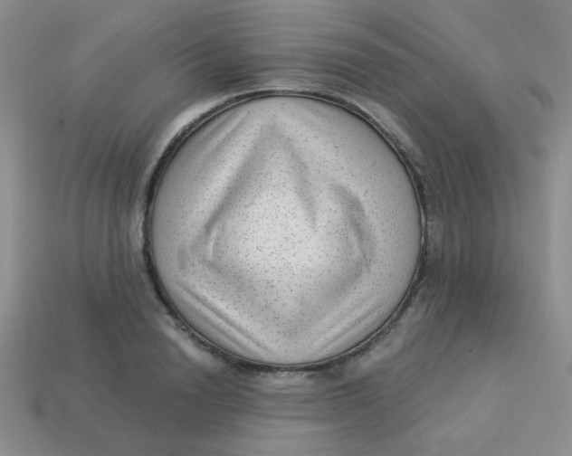 X0000113900846200910151354