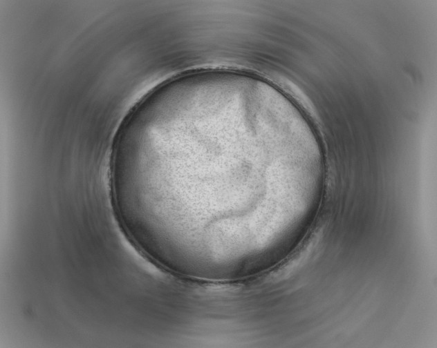 X0000113900847200910151354