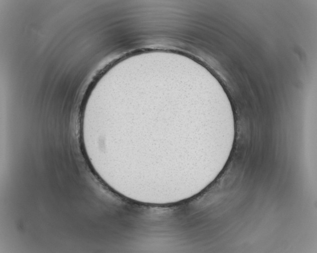 X0000113900848200910151354