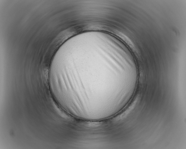 X0000113900849200910151354