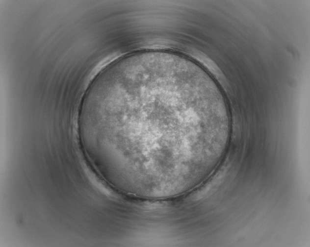 X0000113900850200910151354