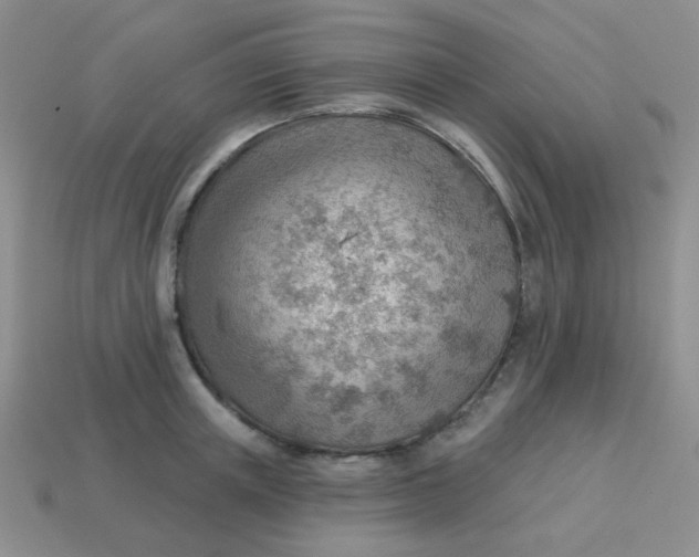 X0000113900851200910151354