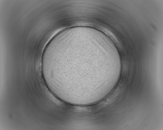 X0000113900852200910151354