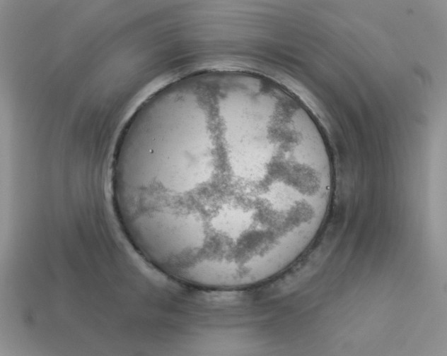 X0000113900853200910151354