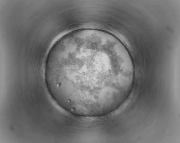 X0000113900854200910151354