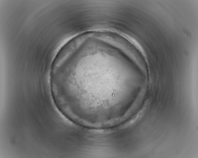 X0000113900855200910151354