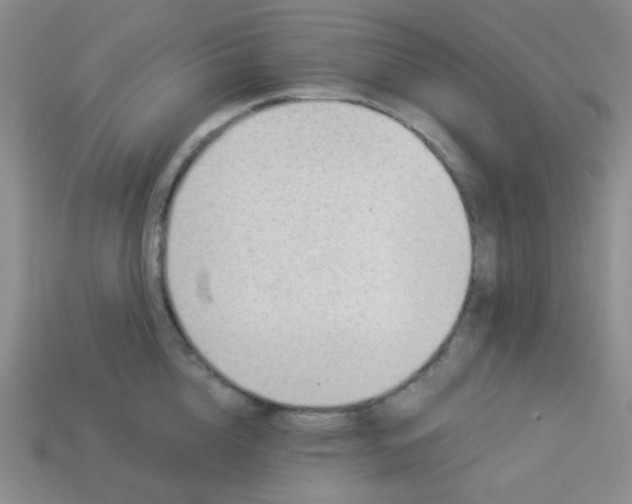 X0000113900856200910151354