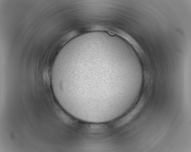 X0000113900857200910151354