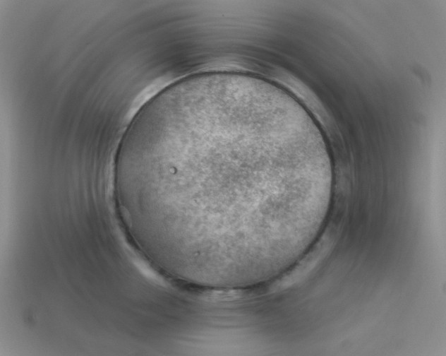 X0000113900858200910151354