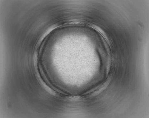 X0000113900859200910151354