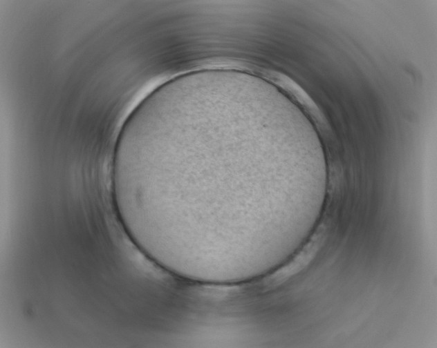 X0000113900860200910151354