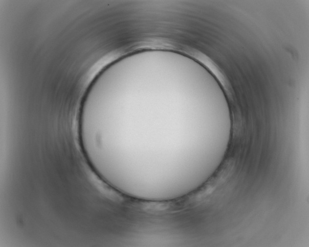 X0000113900861200910151354