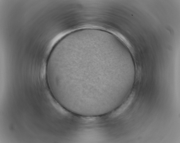 X0000113900862200910151354