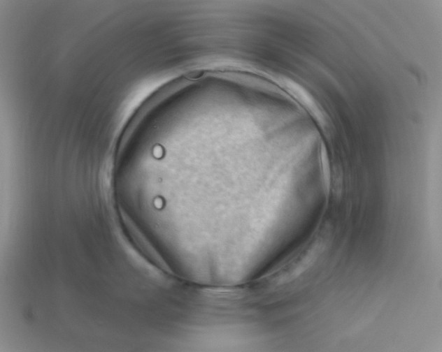 X0000113900863200910151354