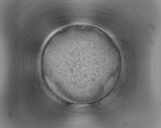 X0000113900864200910151354